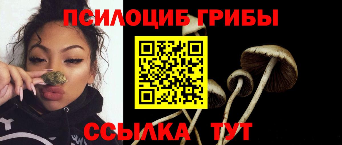 Псилоцибиновые грибы ЛСД  Псилоцибиновые грибы Cubensis  Тейково  Вход с VPN 